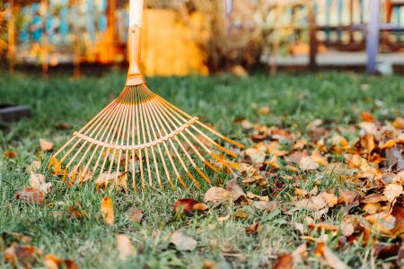 Why Your Yard Might Be Struggling